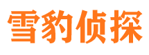 林甸市场调查